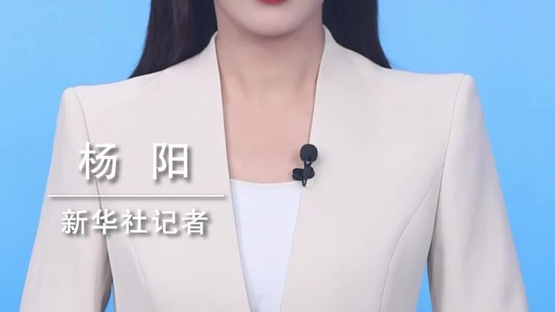 OA协同办公平台：功能分类深度解析**
